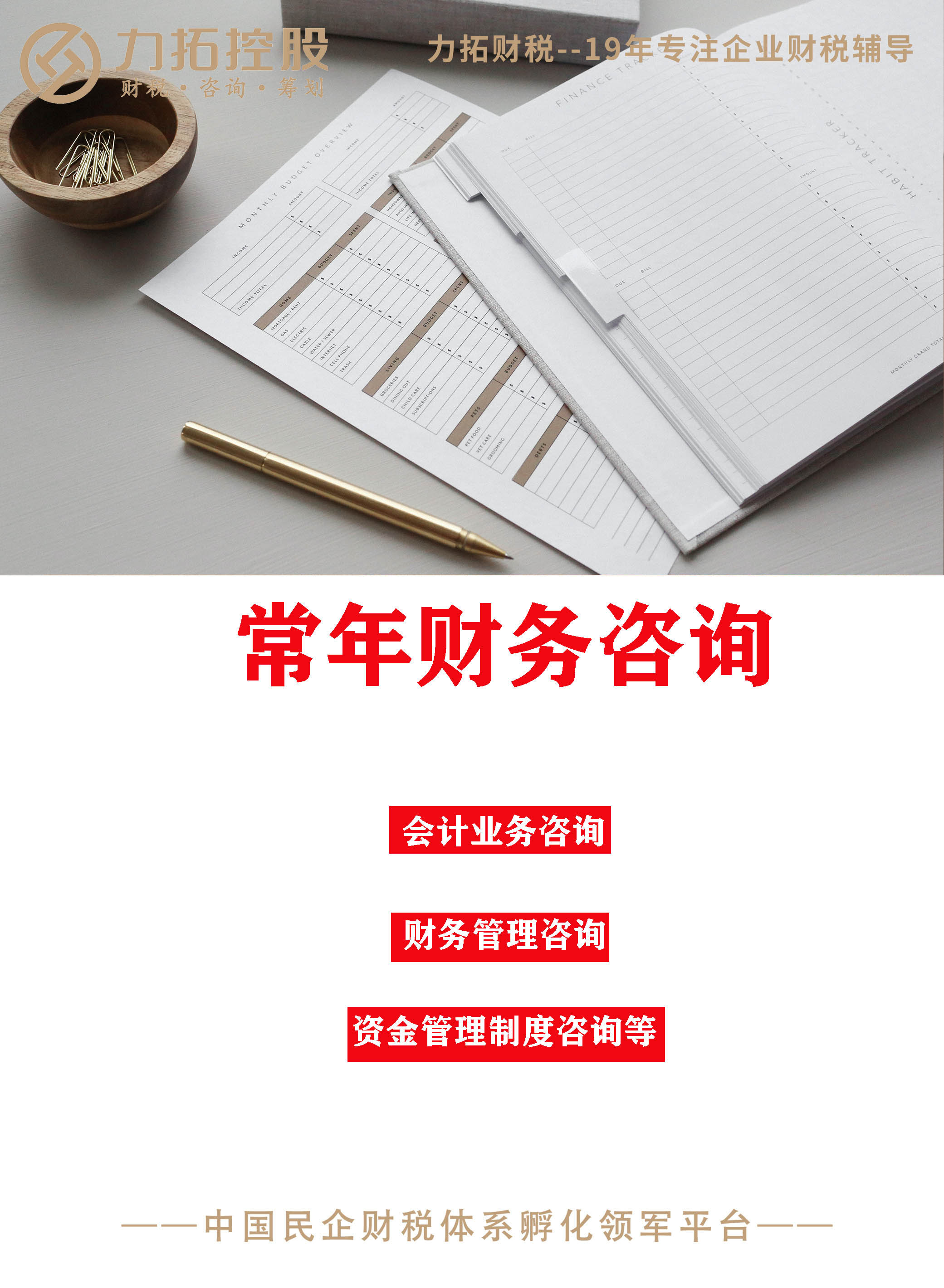 常年財(cái)務(wù)咨詢
