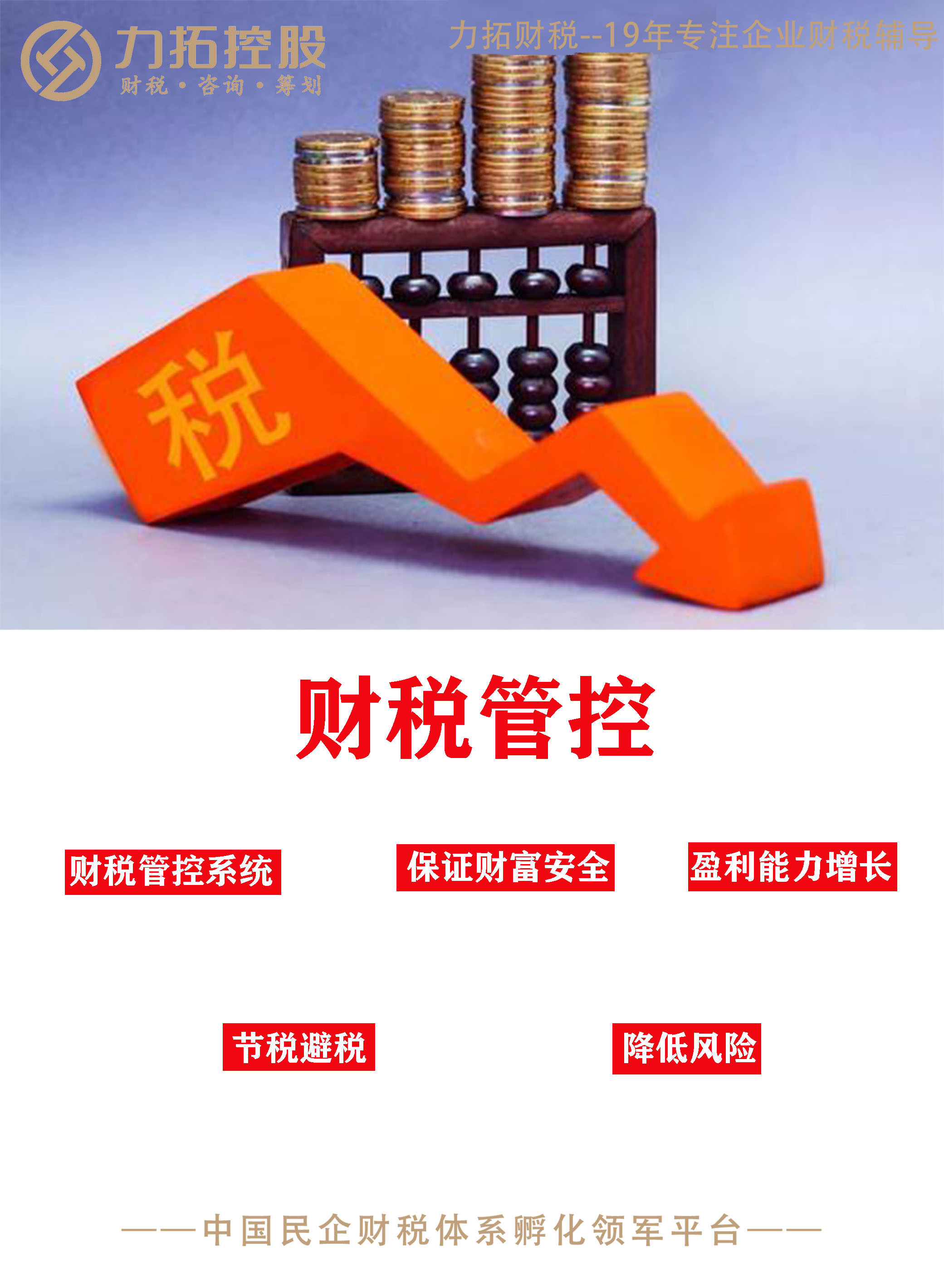 財(cái)稅管控